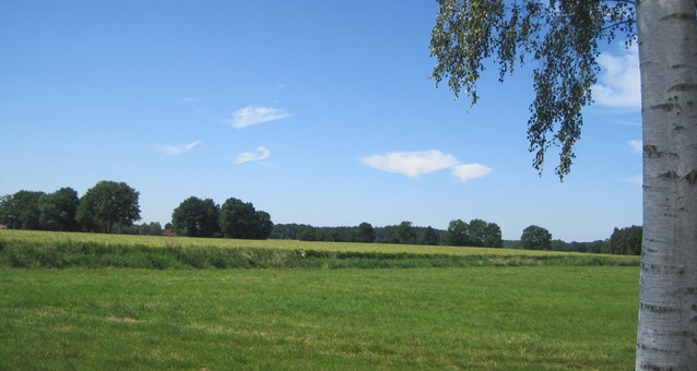 IMG 3932